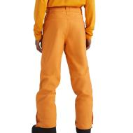 Pantalones esquí O'Neill Hammer Hombre Naranja ver 2