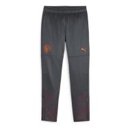 Manchester City Graue Jogginghose Jungen Puma 23/24 günstig