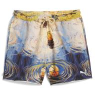 Puma Dylan Herren-Shorts Blau/Gelb günstig