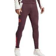Bayern Munich Men's Training Pants Bordeaux Adidas Tiro 24 affordable