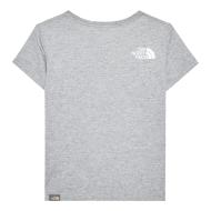 T-shirt Gris Garçon The North Face Graphic 1 vue 2