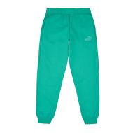 Jogging Vert Garçon Puma Ess No. 1