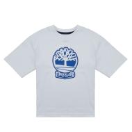 T-Shirt Bleu Clair/Marine Garçon Timberland T60422