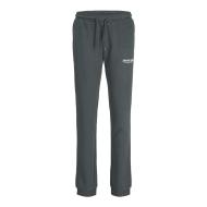 Jack & Jones Jwhvesterbro Boy's Dark Grey Joggers affordable